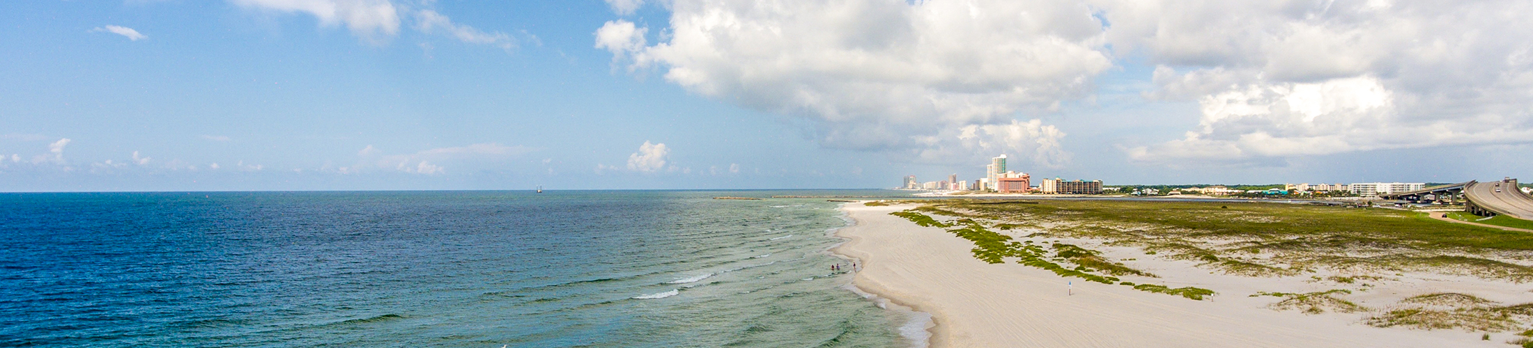 Gulf Coast Beach