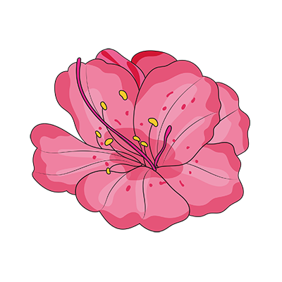 Aromi Azalea