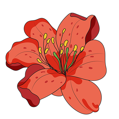 Coral Reef Azalea