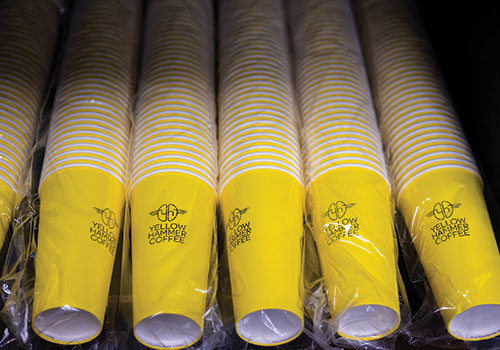 YellowHammer Cups