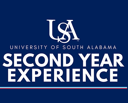 USA Second Year Experience