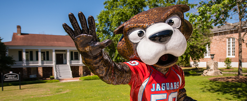 Southpaw statue on campus.