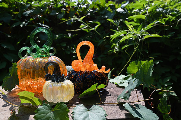 Glass pumpkins