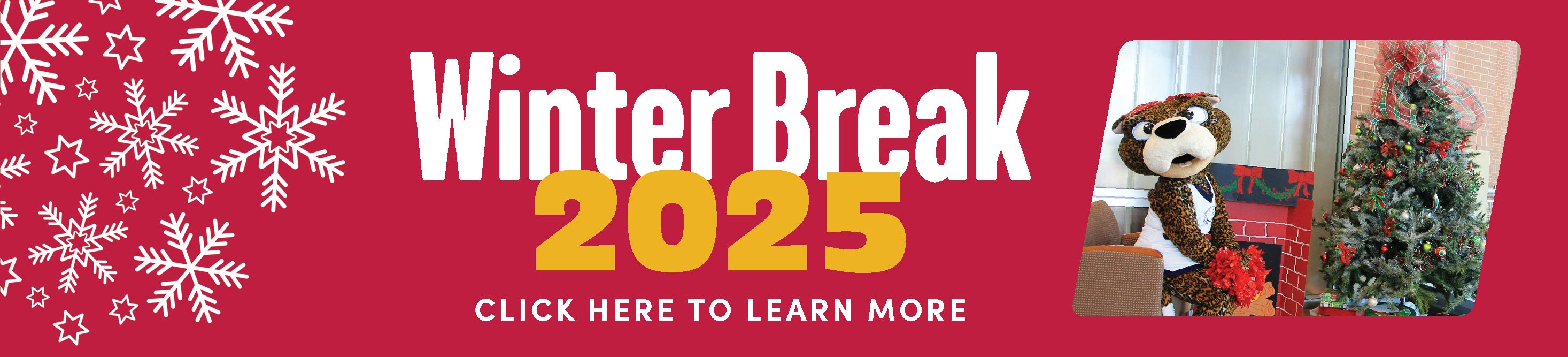 Ms. Pawla near a holiday tree.